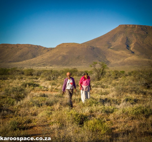 The Healing Powers of Karoo Herbs, Karoo Wisdom SAPeople Your