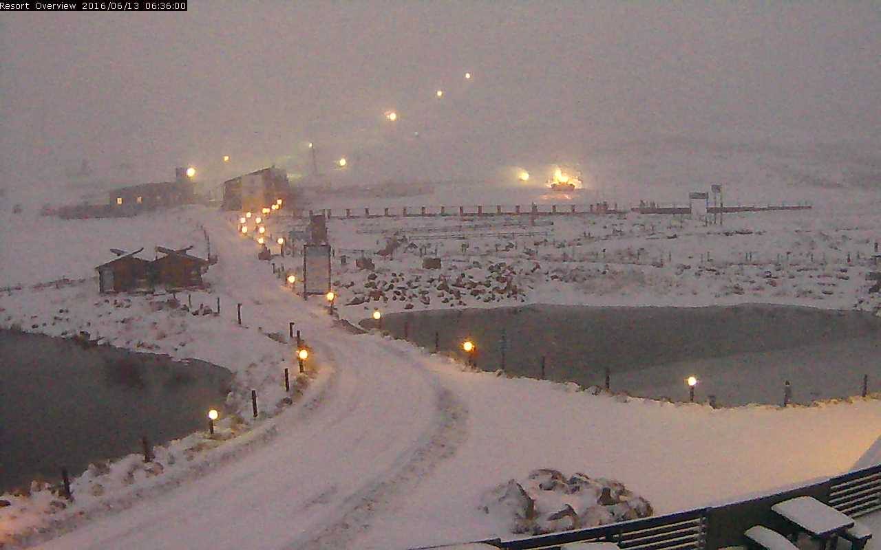 Winter Wonderland as Snow Arrives in South Africa and Lesotho