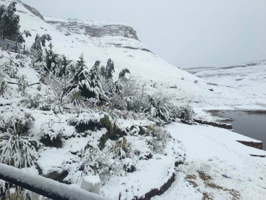 Snow In South Africa Today 2024 Predictions Torie Harmonia