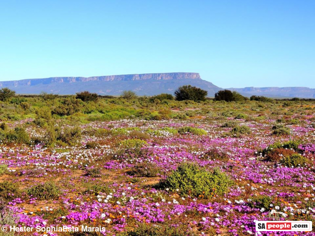 South Africa ‘The Most Beautiful Country in the World’ – Again