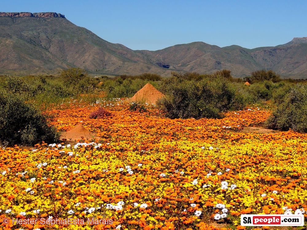 Namaqualand People