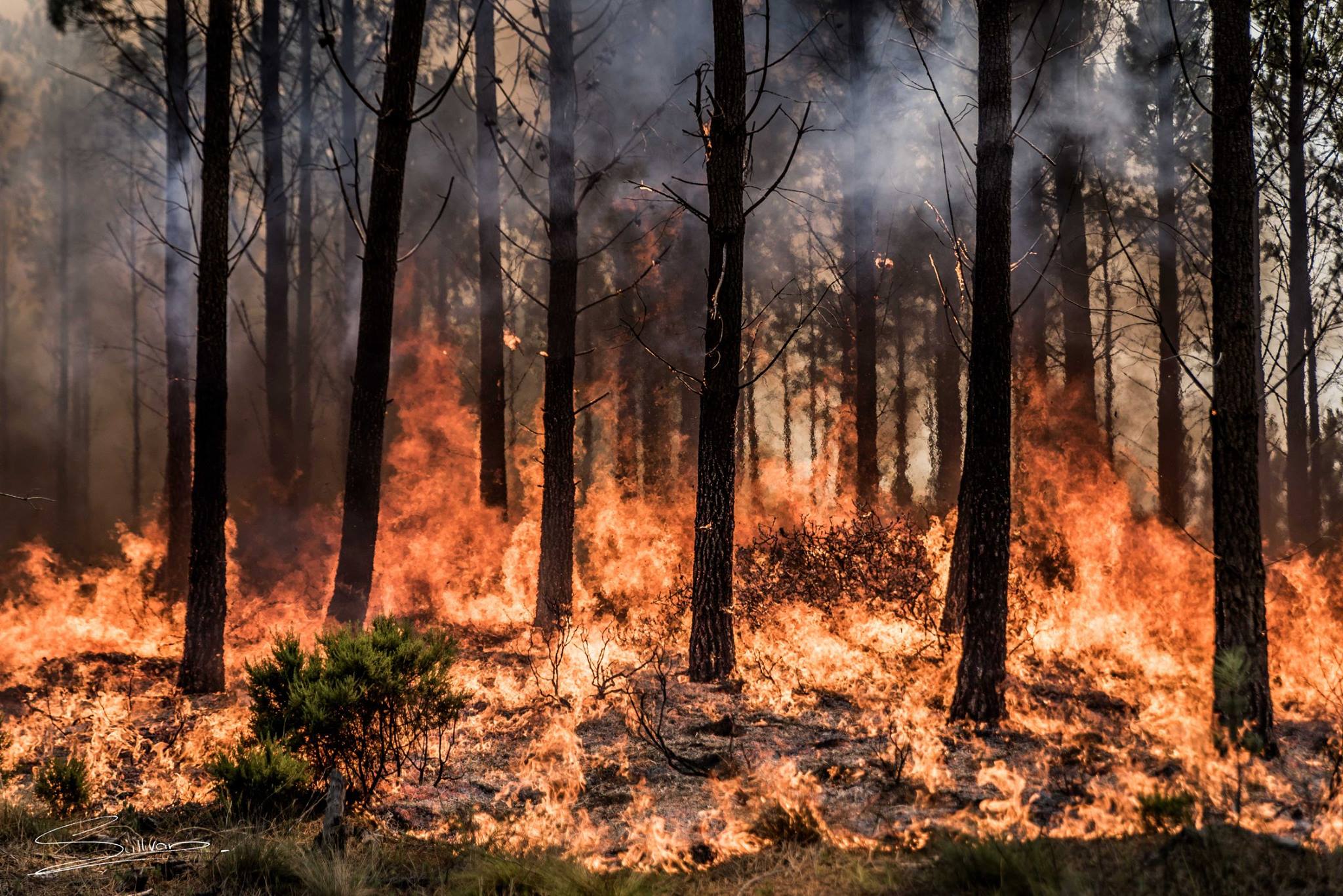 The Elgin Valley Fire in PICTURES - SAPeople - Your Worldwide South ...