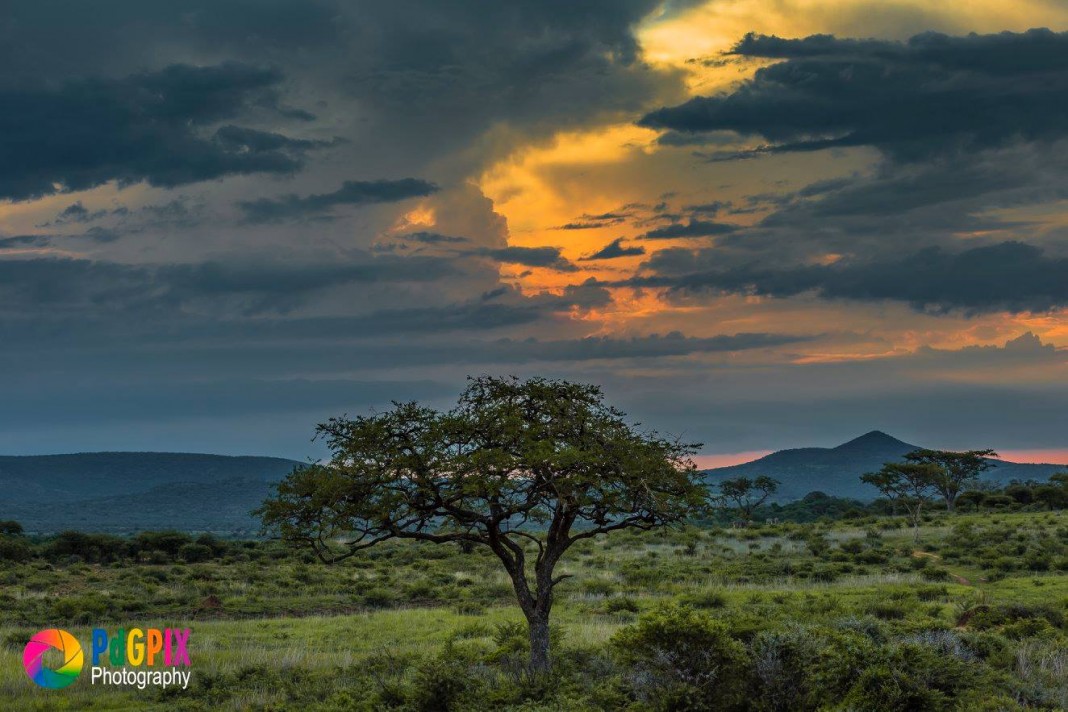 The African Bush Sunsets Wildlife And Wonderful Views Sapeople