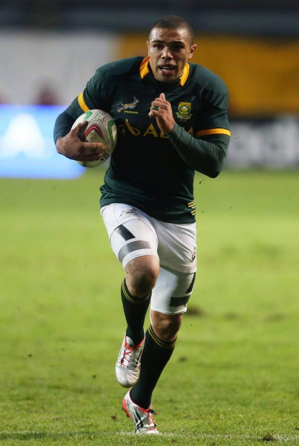 MP Calls for Removal of Springbok Emblem from National Rugby Jerseys ...