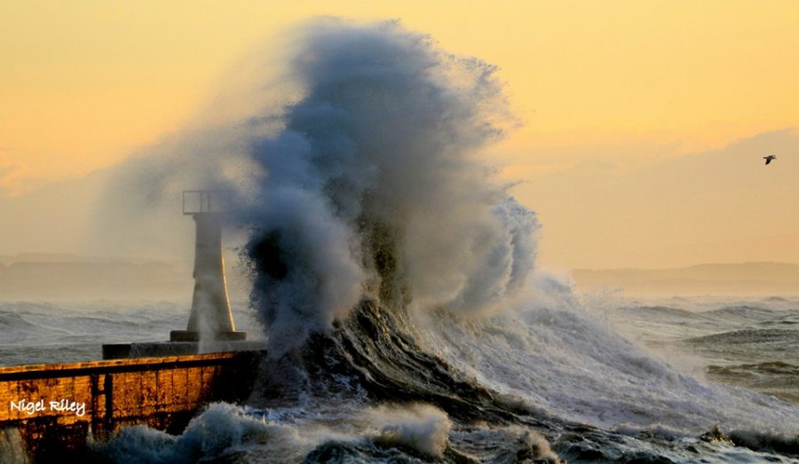 Photos of Massive Waves at Kalk Bay in South Africa - SAPeople - Your ...