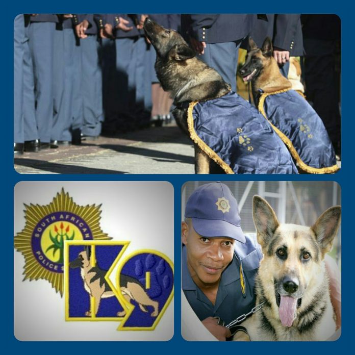 Wanted in South Africa Canines for K9 SAPeople Worldwide South