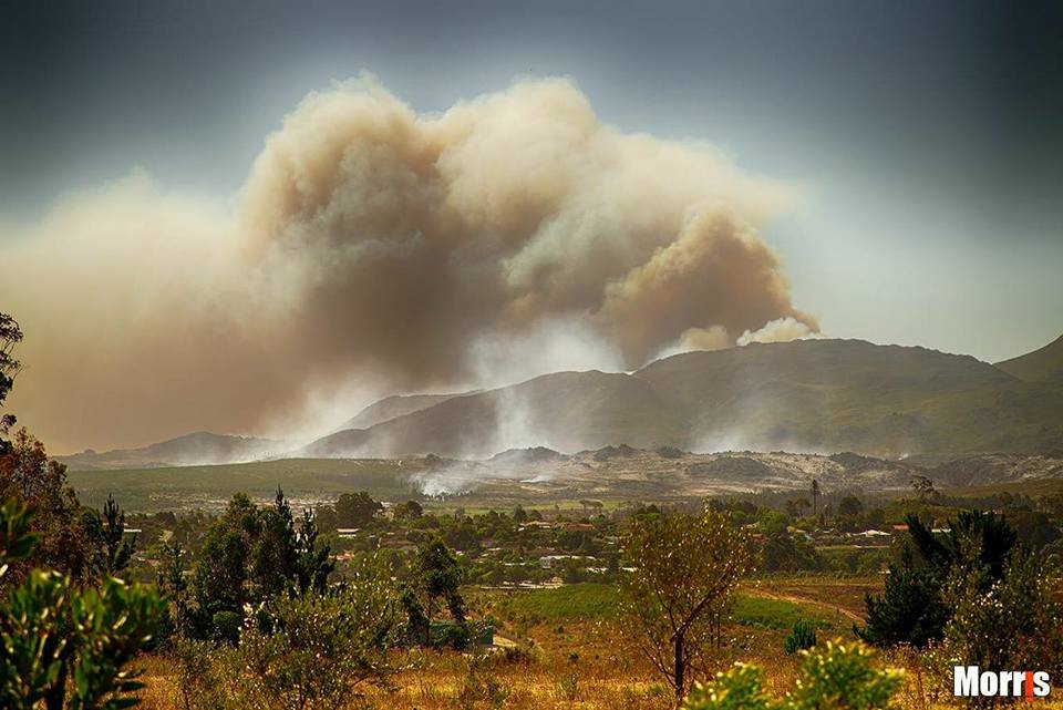 Eight Fires Spread Across the Western Cape Today as Winds ...