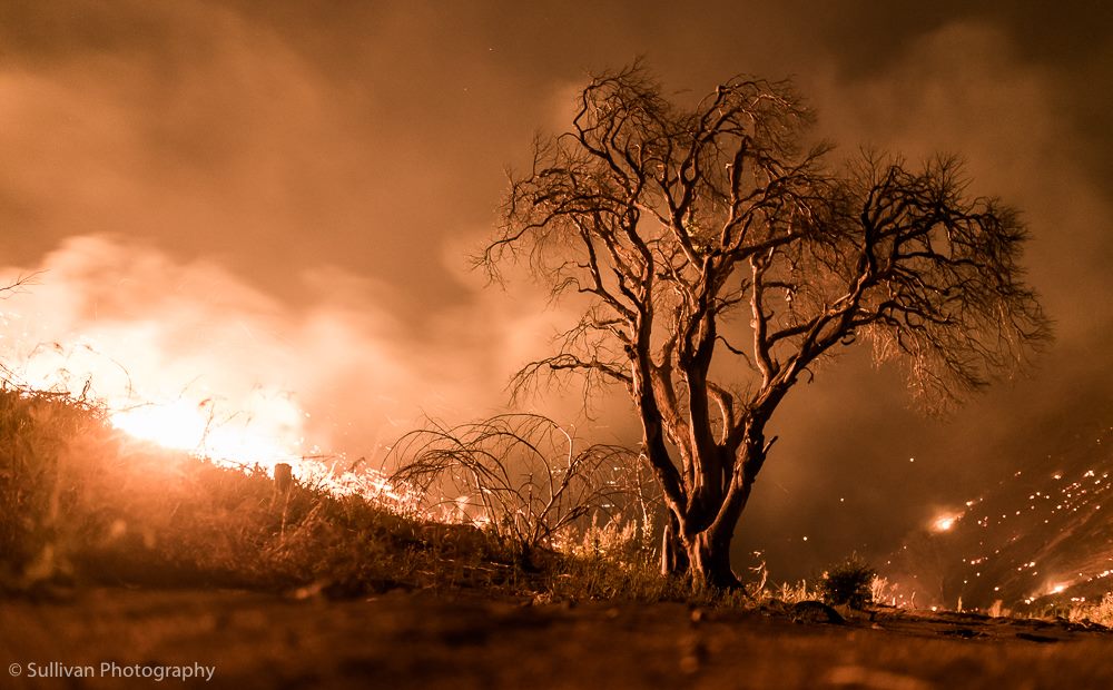 Pringle Bay Fire Leaves Property Destroyed. Extremely High Fire Danger ...