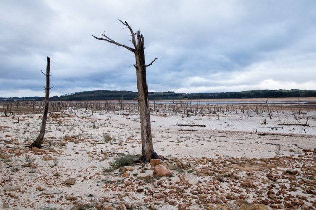 In PHOTOS: Cape Town’s Water Crisis - SAPeople - Worldwide South ...