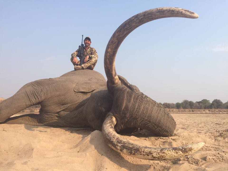 Hunter Kills Alleged Iconic Big Tusker Elephant, Only About 30 Left in