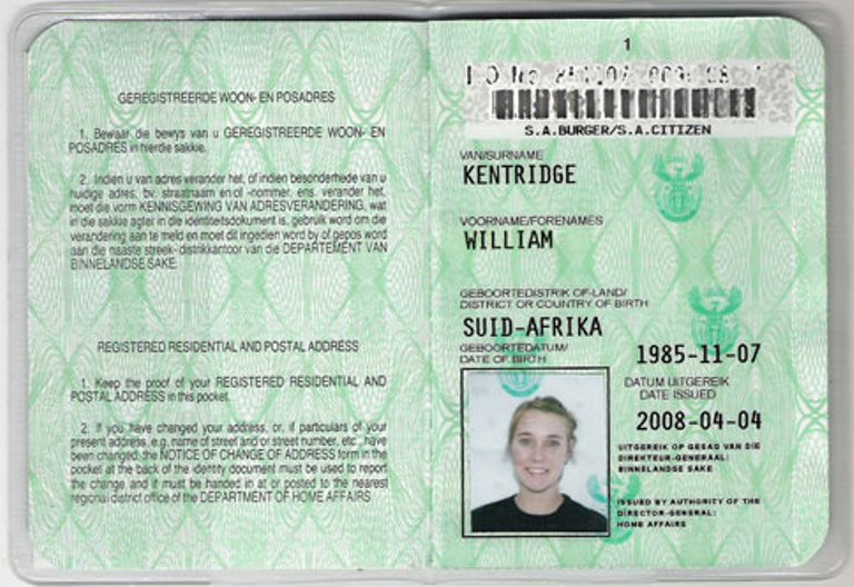 South African Id Book Template