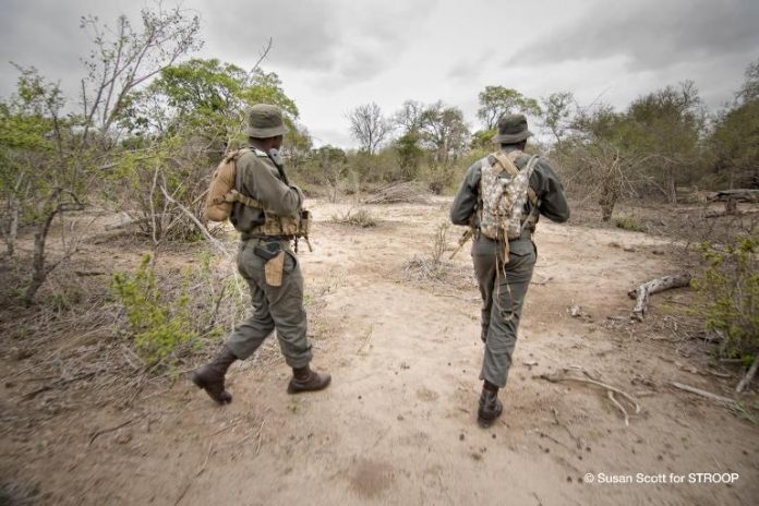 SANParks Arrests Field Rangers Suspected of Rhino Poaching - SAPeople ...