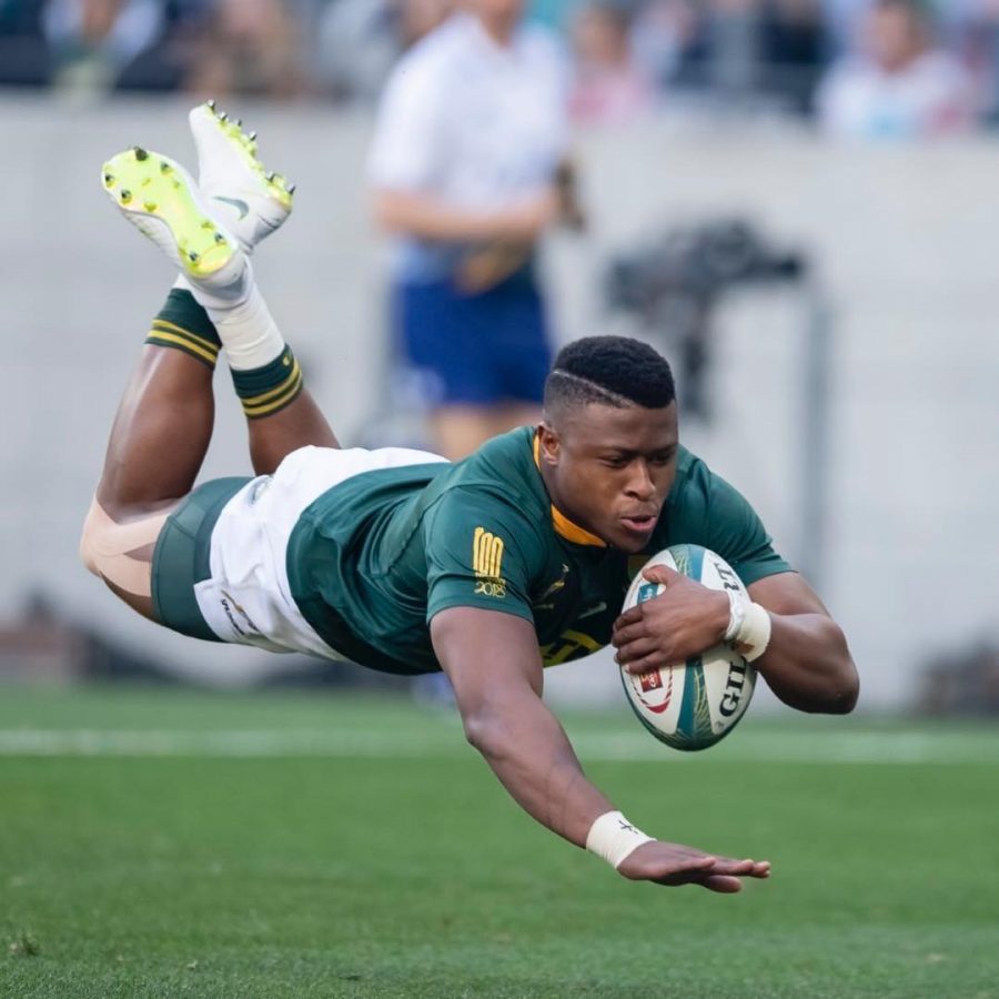 download sa rugby 24