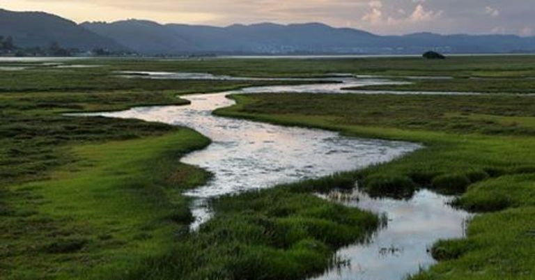 Protect SA's Wetlands - SAPeople - Worldwide South African News