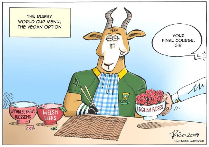 Springbok and Rugby World Cup 2019 Jokes and Memes - SAPeople