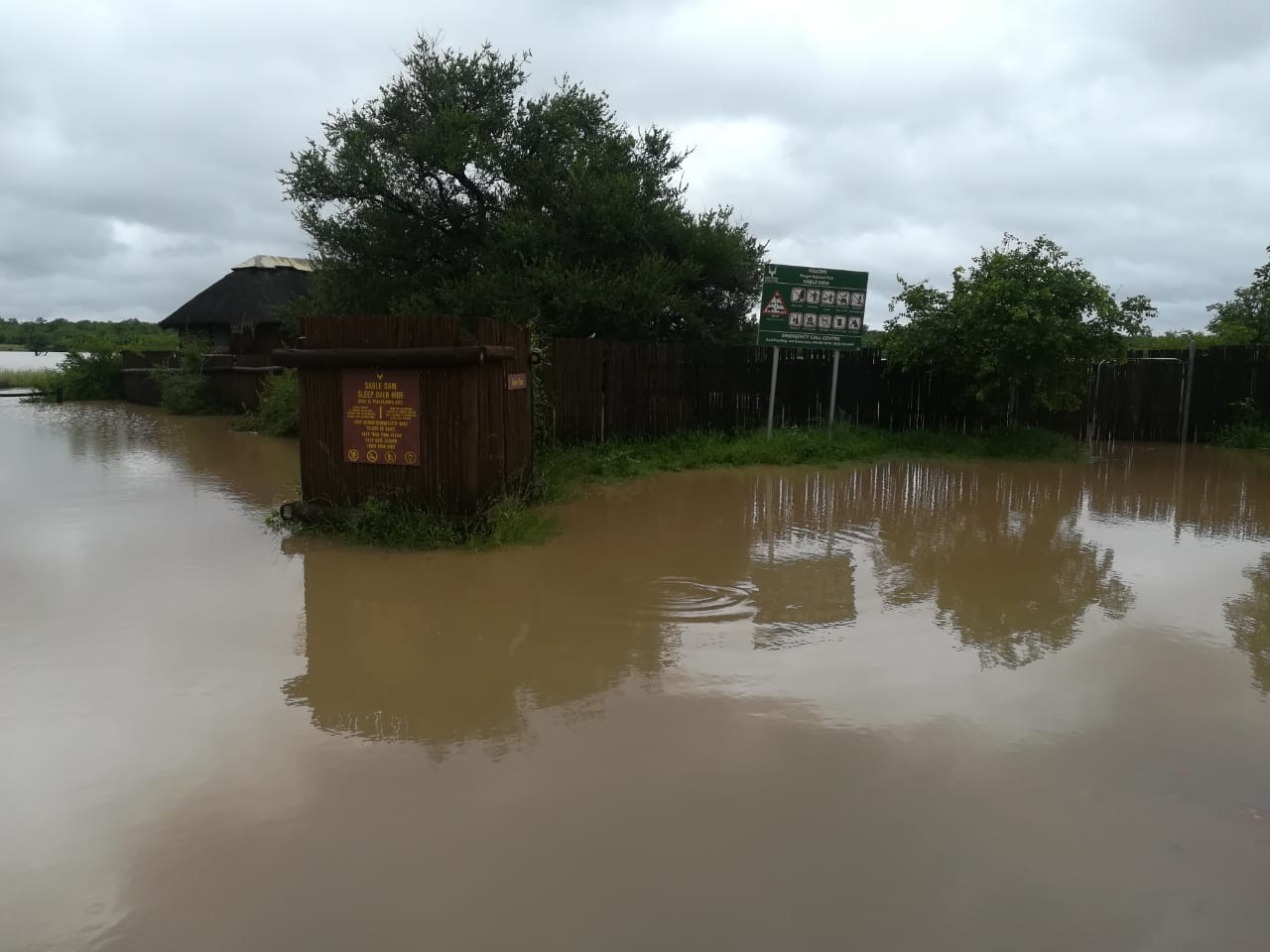 WATCH Kruger Camps Evacuated As Downgraded Cyclone Eloise Brings Floods ...