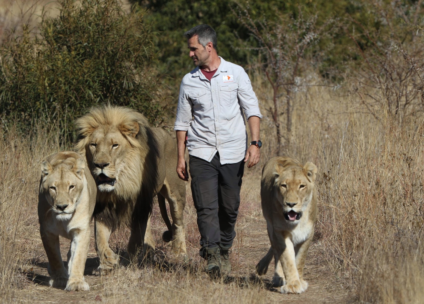 Chance to Meet Lion Whisperer Kevin Richardson and Win a South African 