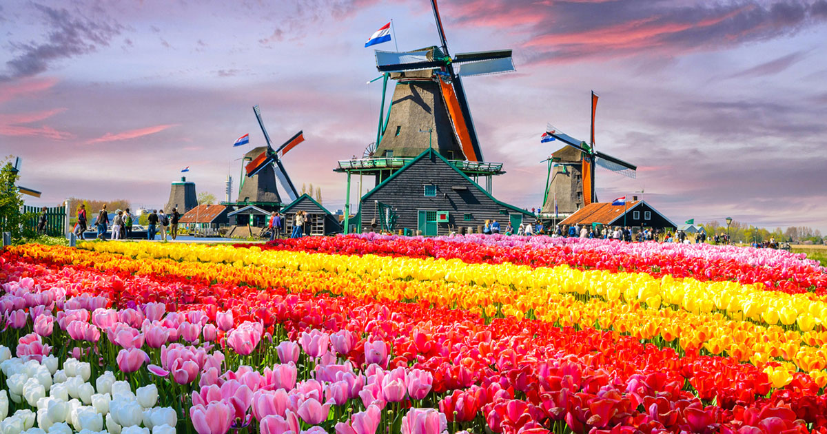 Netherlands Eases Restrictions for Travellers from South Africa ...