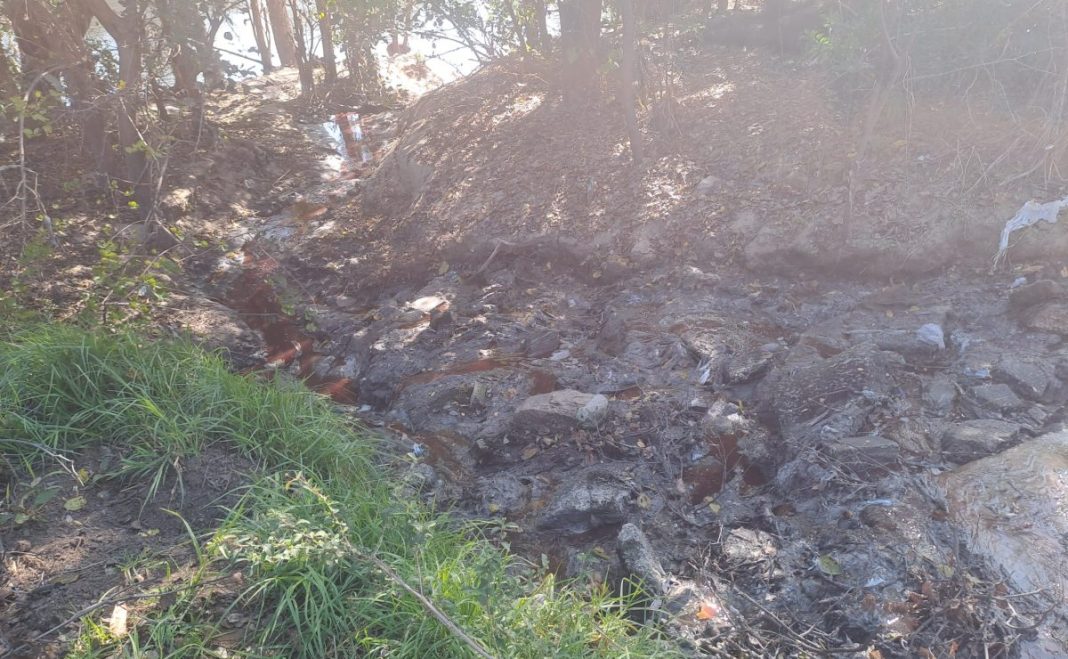 Cholera found in Vaal River as water samples test positive SAPeople