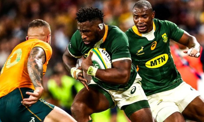 Springboks Vs All Blacks Rugby Championship Clash Transforms Into A ...